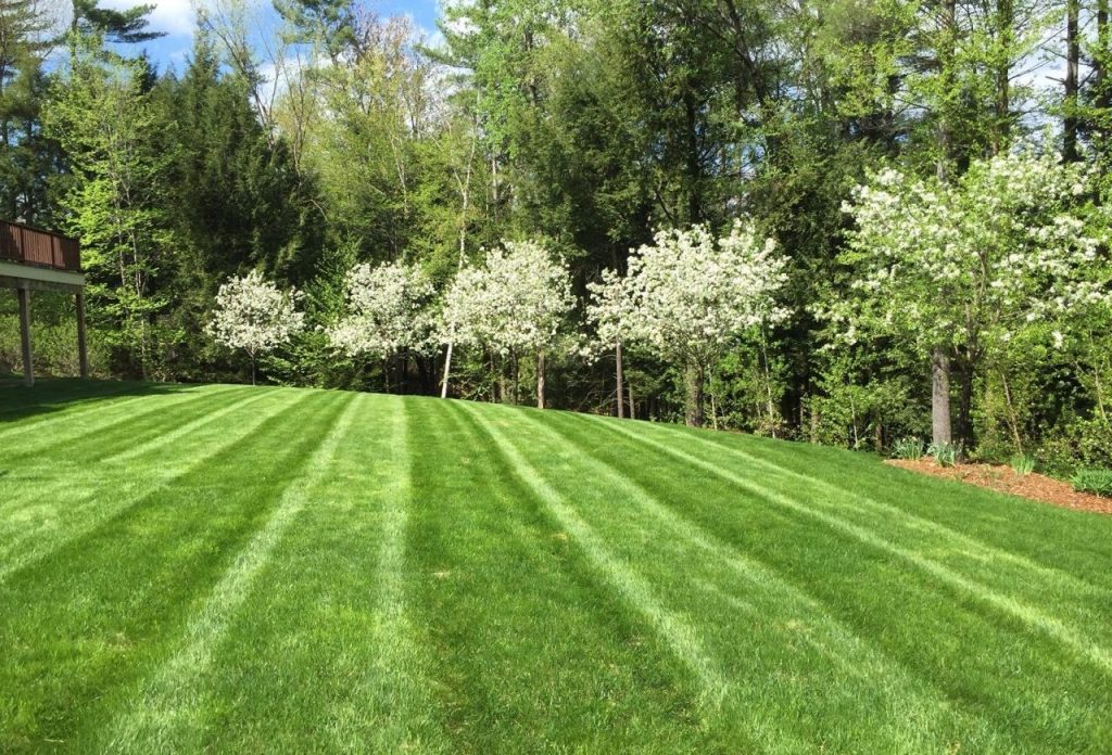 Photo of Advanced Outdoor Solutions Lawn Grass Cutting New Haven Missouri