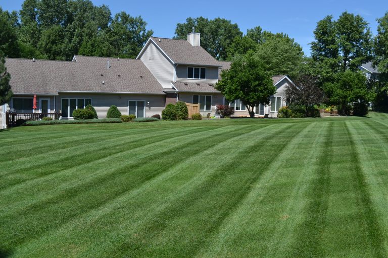 2024 Fertilizing Special